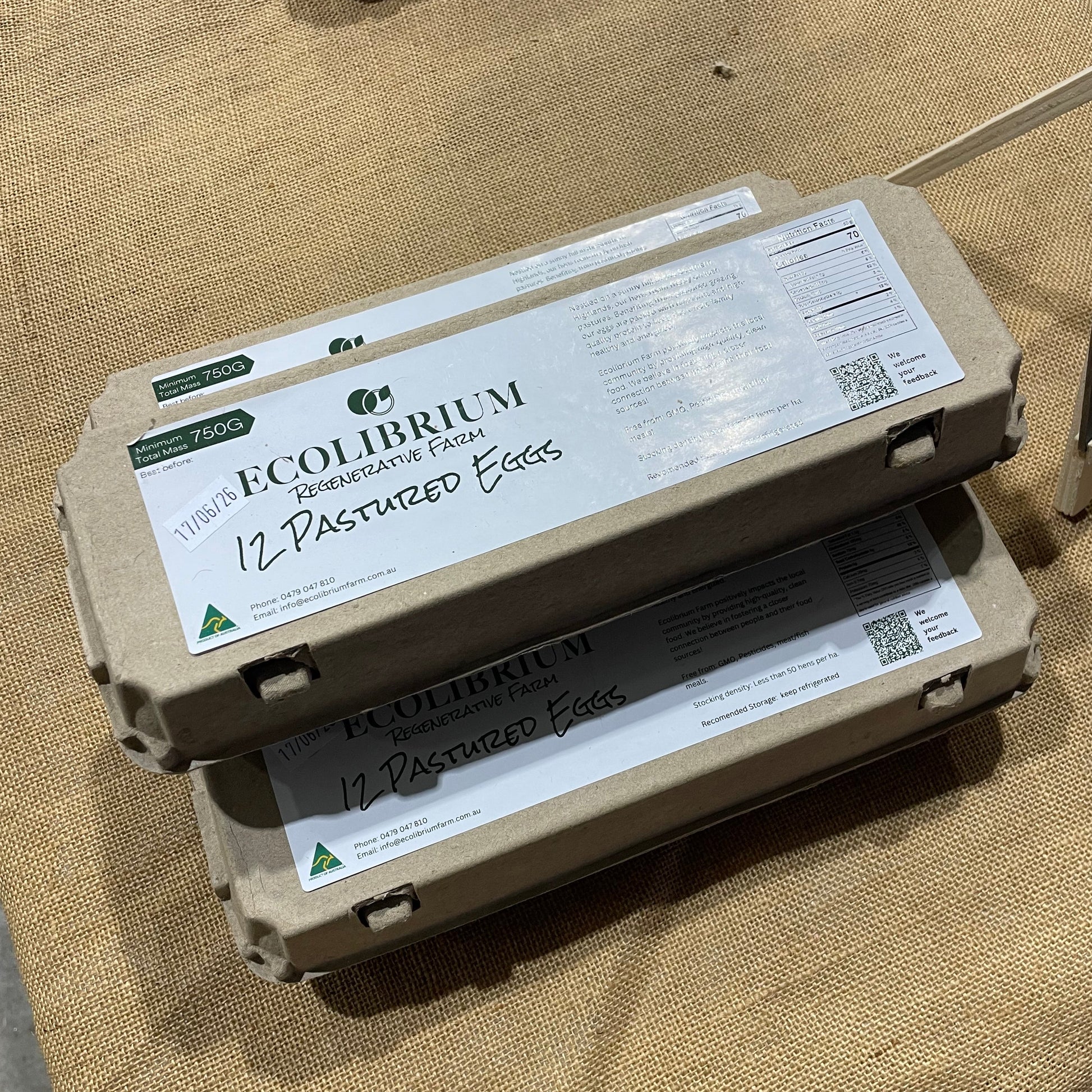 Ecolibrium egg carton on a textured surface