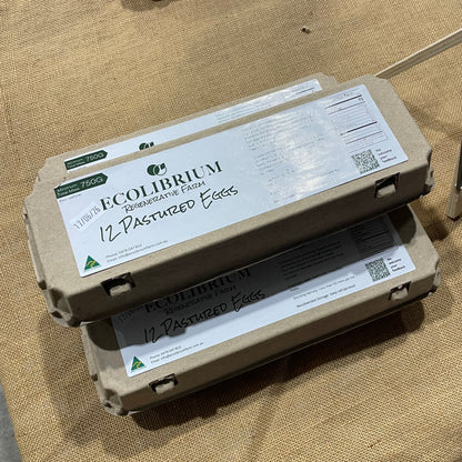 Ecolibrium egg carton on a textured surface