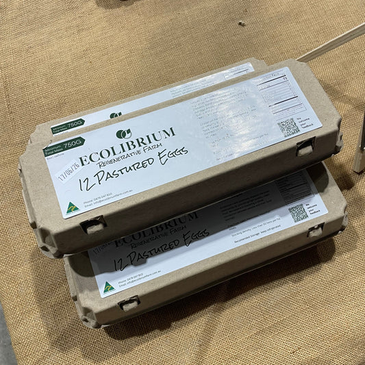 Ecolibrium egg carton on a textured surface